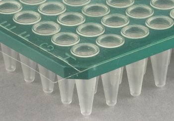 Folii PCR transparente